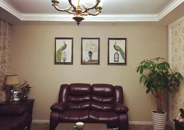 硅藻泥涂料建材屆“當紅明星”